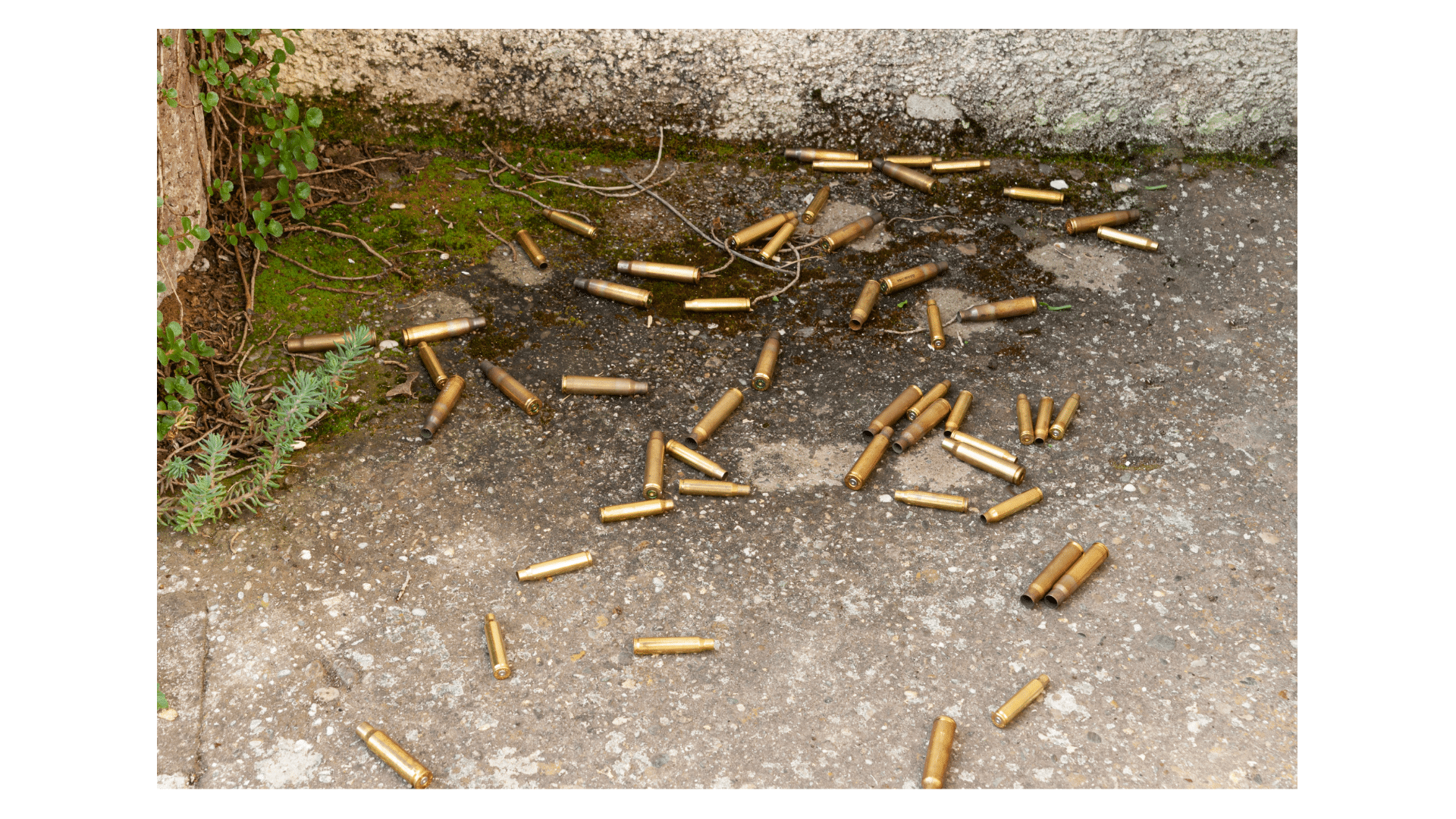 Scrap brass ammunition casings scattered on a concrete floor at a gun range.